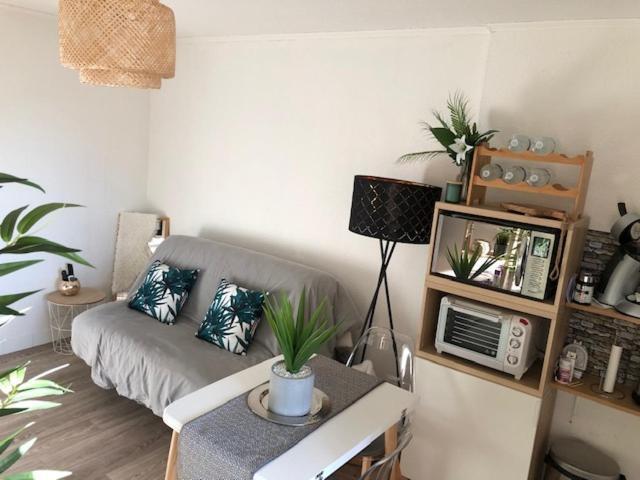 Studio Cosy Carnon-Plage - Clim Et Wifi Proche Montpellier Lejlighed Mauguio Eksteriør billede